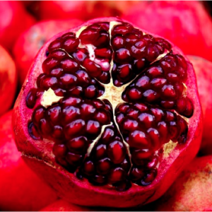 Pomegranate-601