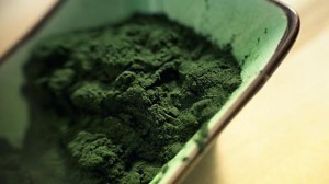 Spirulina-Powder