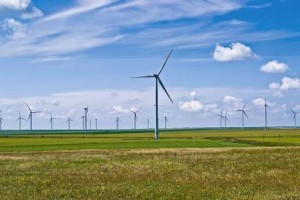 fantanele-cogealac_wind_farm_romania._pic_sandri_alexandra_2011