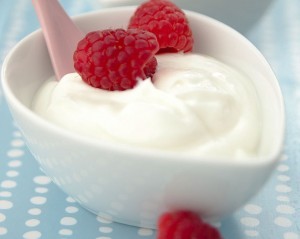 frozen-greek-yogurt-1_0