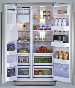Organized-Refrigerator