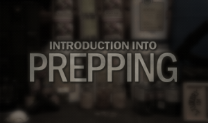 Introduction-Into-Prepping-460x300 (1)