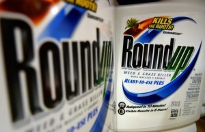 roundup-638x411