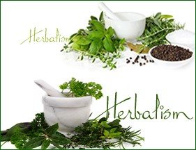 sp-herbalism-4